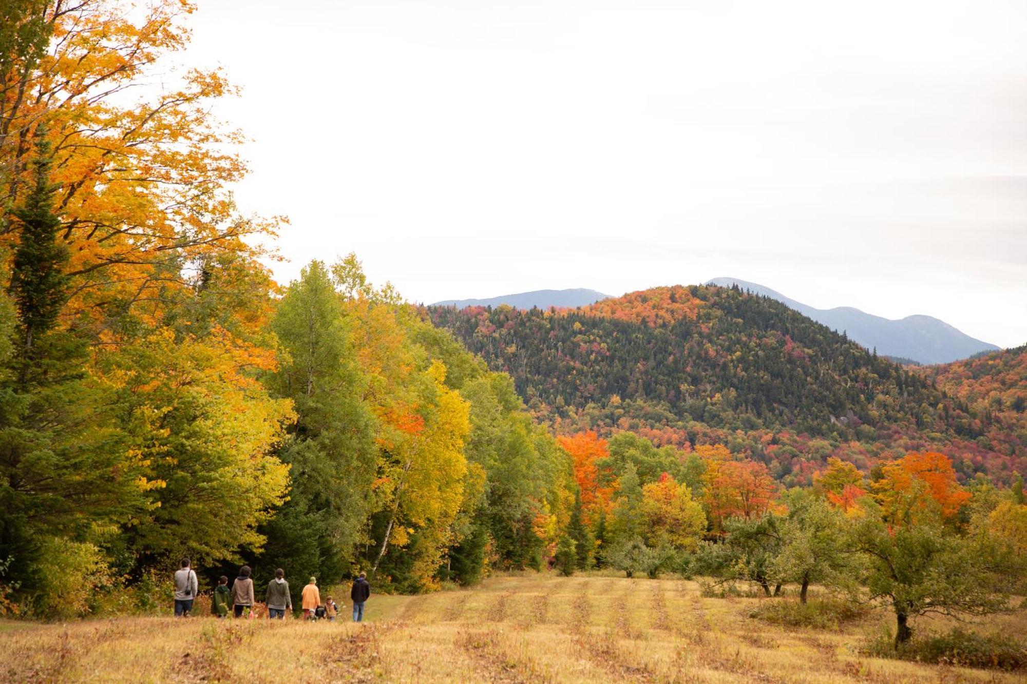 Lake Placid Inn Boutique Hotel Luaran gambar